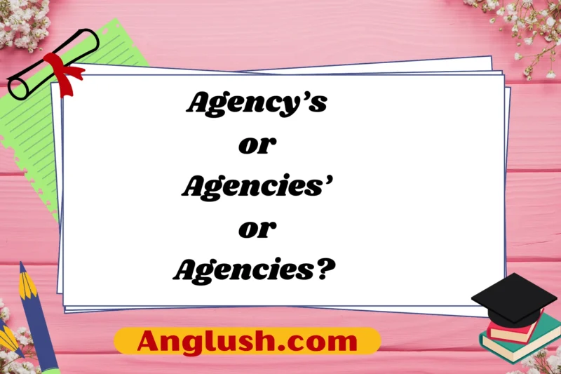 Agency’s or Agencies’ or Agencies? Choosing the Right Expression Based on Context
