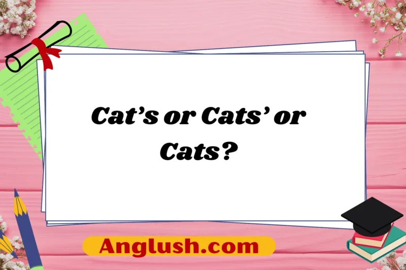 Cat’s or Cats’ or Cats? Exploring Polite, Professional, and Casual Alternatives