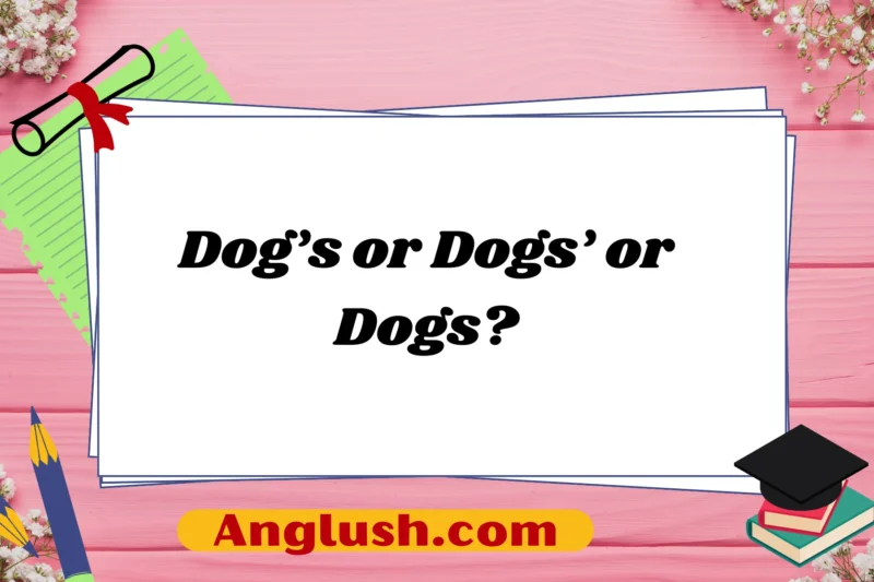 Dog’s or Dogs’ or Dogs?