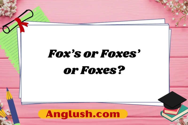 Fox’s or Foxes’ or Foxes? Exploring Nuances in Usage