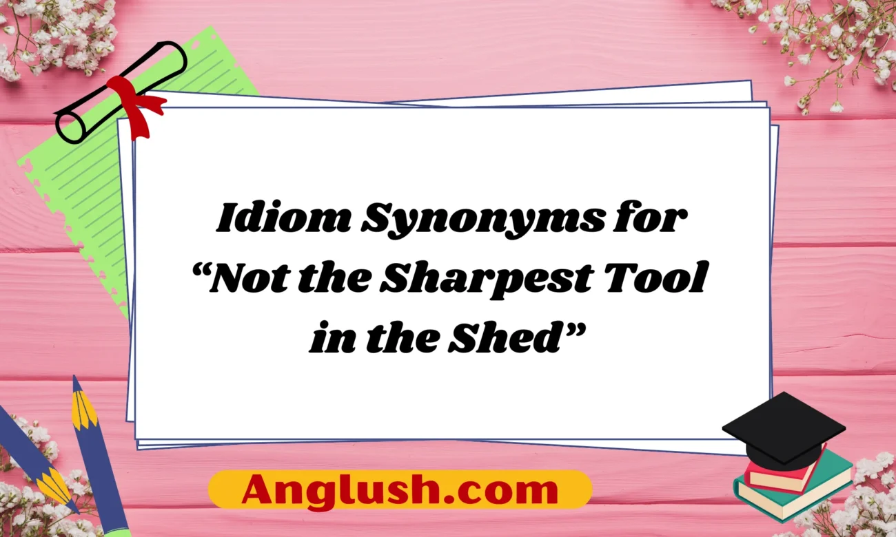 Idiom Synonyms for “Not the Sharpest Tool in the Shed”