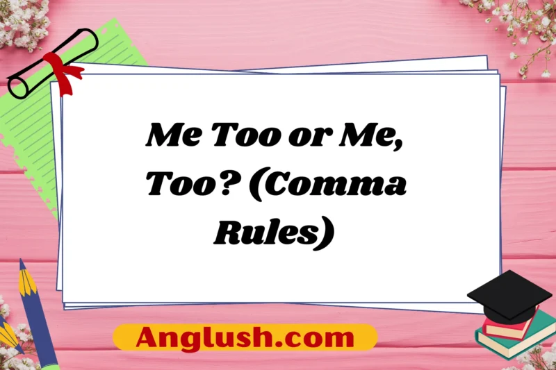 Me Too or Me, Too? (Comma Rules)