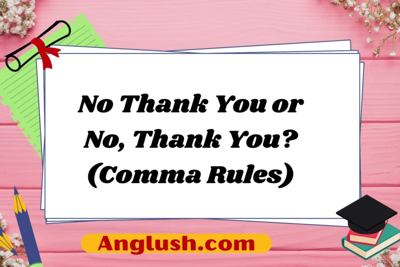 No Thank You or No, Thank You? (Comma Rules)