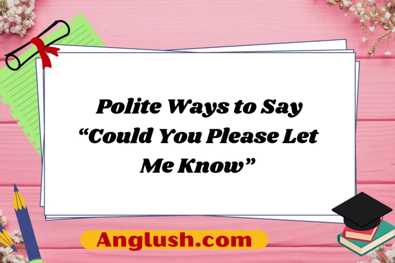 11+ Polite Ways to Say “Could You Please Let Me Know”