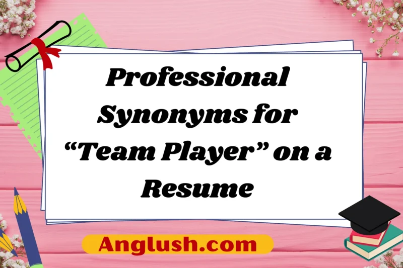 23+ Professional Synonyms for “Team Player” on a Resume
