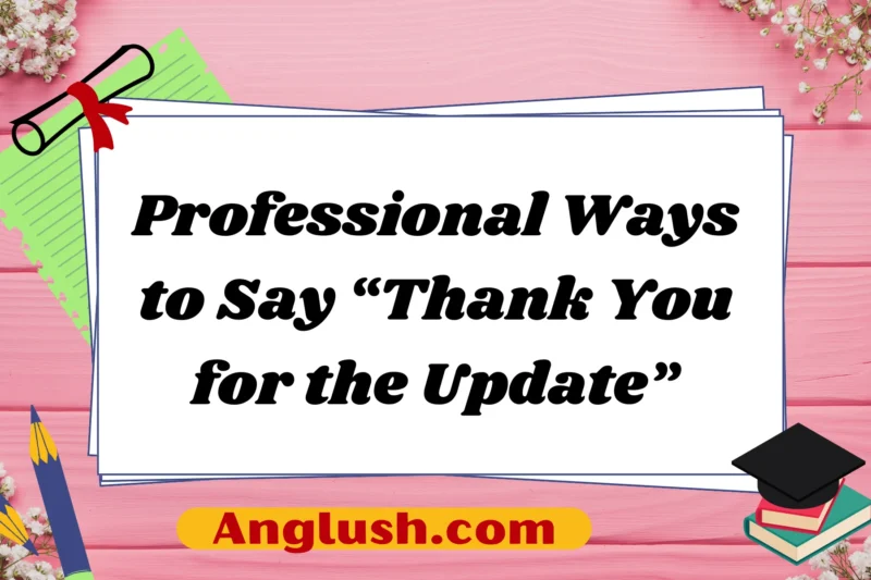 16+ Professional Ways to Say “Thank You for the Update”
