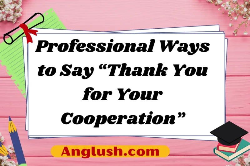 22+ Professional Ways to Say “Thank You for Your Cooperation”