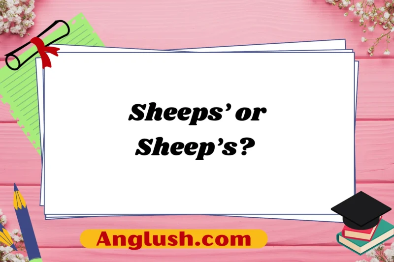 Sheeps’ or Sheep’s? Exploring the Best Alternatives for Well Wishes in Different Contexts