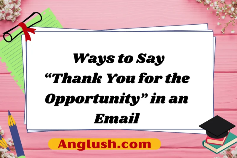 25+ Ways to Say “Thank You for the Opportunity” in an Email